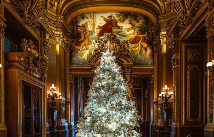 Top 14 der schönsten Weihnachtsbäume in Paris 2024: Genug, um Ihnen Glitzer in die Augen zu zaubern