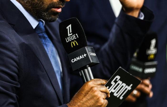 Canal+ verdient dank Ligue 1 100 Millionen Euro