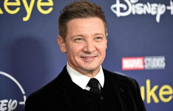 Jeremy Renner (Hawkeye) gibt diese überraschende Sache an den Avengers-Filmen zu