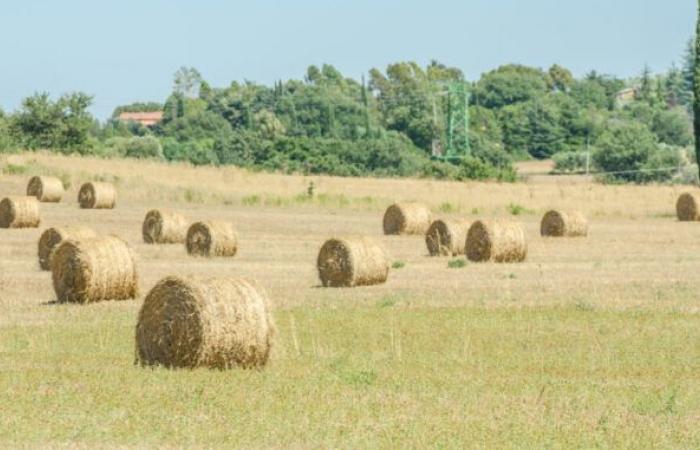 Das große Land- und Forstwirtschaftsfest der UPA