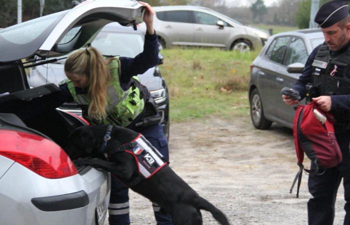 Landes. Als die Feiertage näher rückten, mobilisierte die Polizei: „Überlegen Sie, wer Sam sein wird.“