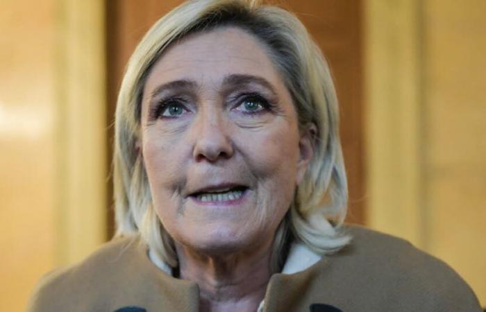 Laut einer Umfrage liegt Marine Le Pen im Falle einer Präsidentschaftswahl vorne