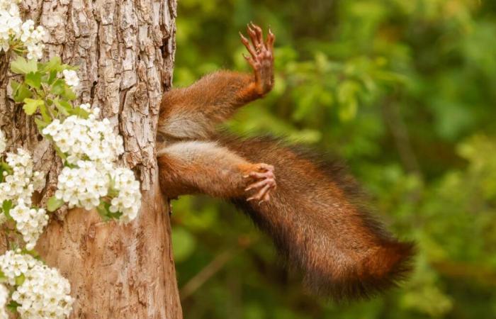 Unsere Auswahl der schönsten Tierfotos