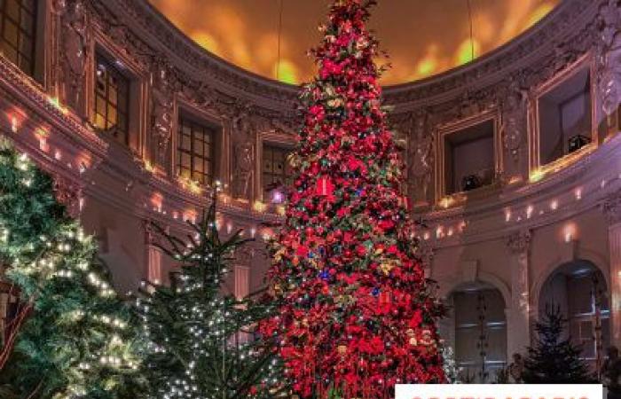 Top 14 der schönsten Weihnachtsbäume in Paris 2024: Genug, um Ihnen Glitzer in die Augen zu zaubern