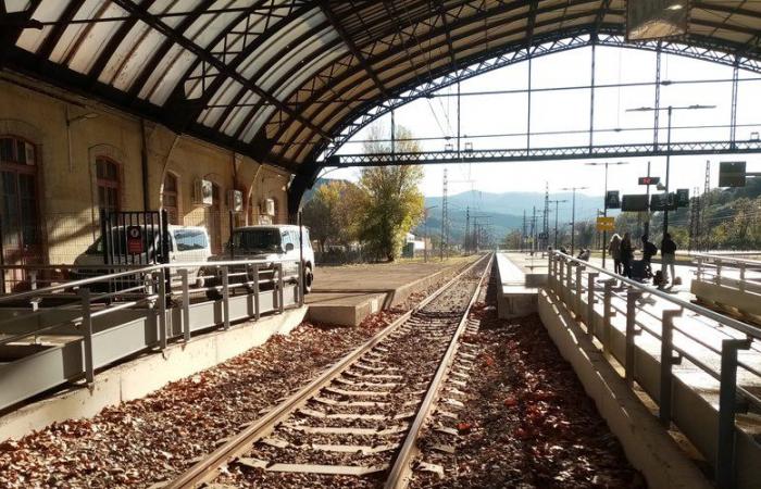 Streik bei der SNCF: TGV, TER, Verspätungen… was Sie über die Störungen wissen müssen, wenn Sie am Donnerstag mit dem Zug fahren