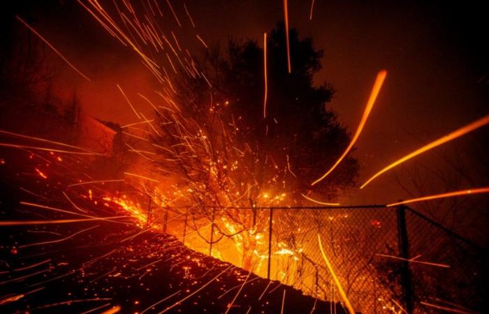 die beeindruckenden Bilder des Feuers, das diesen Dienstag Malibu verwüstete (Videos)