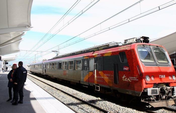 Streik im öffentlichen Dienst in den Pyrénées-Orientales: Störungen im Zugverkehr sowie bei der Verteilung von Paketen und Post sind ebenfalls betroffen