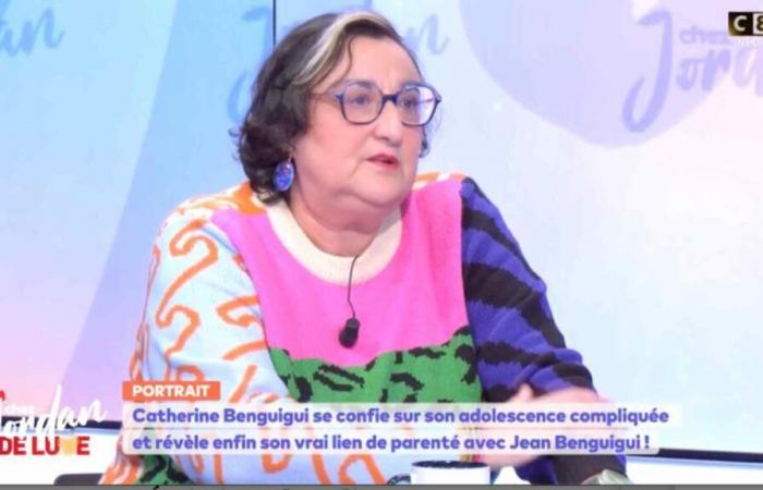 „Es gab Probleme…“, verrät Catherine Benguigui (VIDEO)