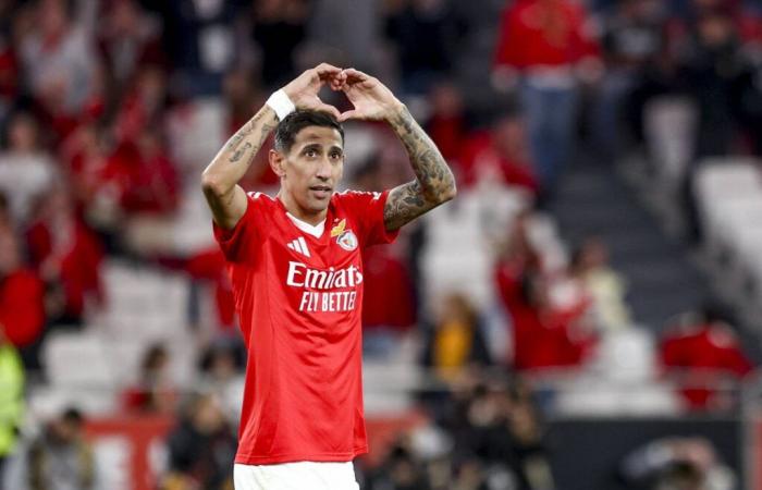 Di María könnte mit dem Benfica-Trikot in die Champions-League-Geschichte eingehen