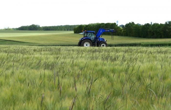 Die Europäische Kommission bringt den Europäischen Landwirtschaftsausschuss auf Kurs: Welche Rolle spielt er?