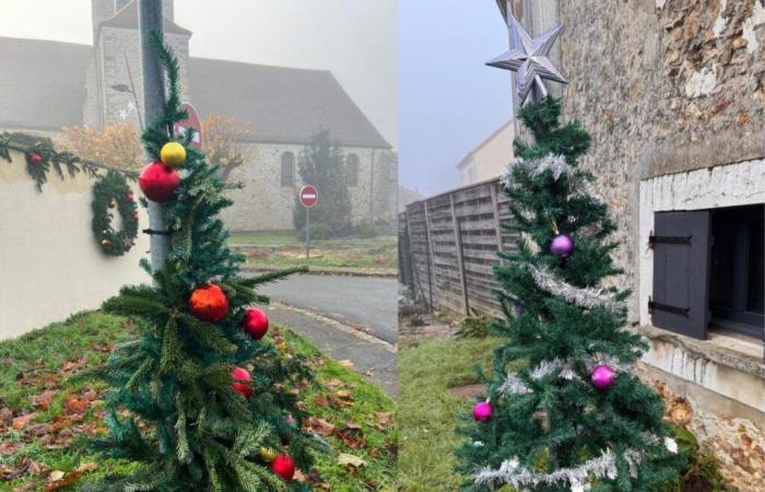 In dieser Stadt werden die in den Straßen aufgestellten Weihnachtsbäume von den Einwohnern geschmückt