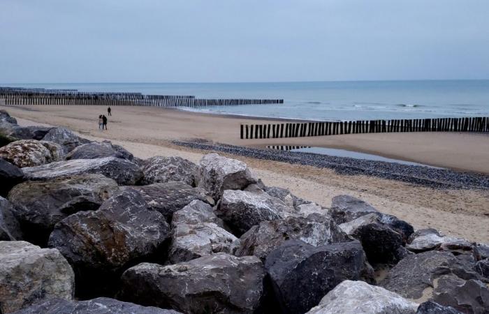 Wetterbericht. Wie ist das Wetter an diesem Mittwoch, den 11. Dezember in Hauts-de-France?