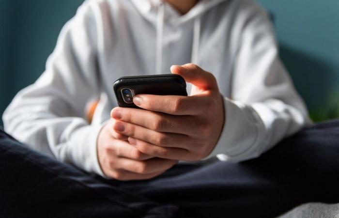 Eltern verklagen, nachdem KI-Bot dem Teenager angeblich angedeutet hat, sie zu töten