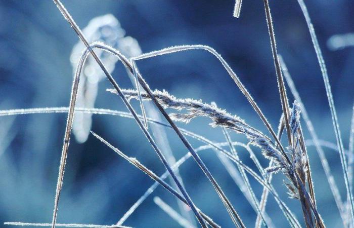 Wetter: bis zu -5,5°C an diesem Donnerstagmorgen, in welchen Gemeinden war es im Aveyron am kältesten?