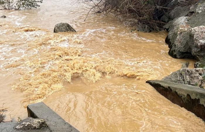 Der Regen wird in den Pyrénées-Orientales zunehmen: Dieser Fluss könnte überlaufen