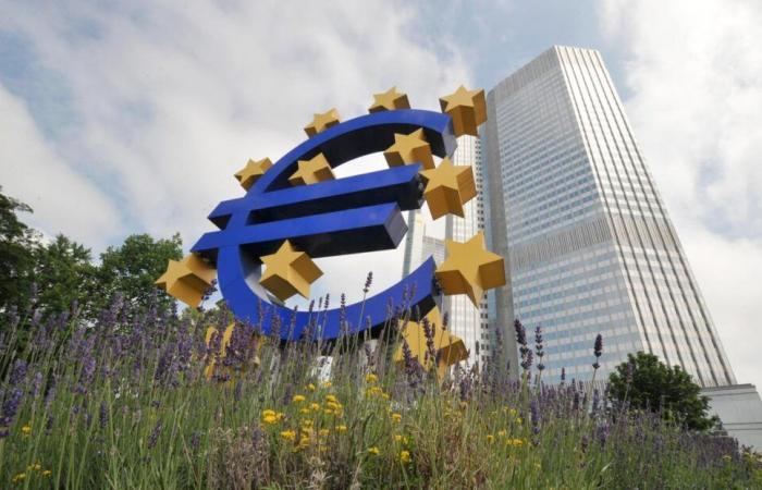 Die Europäische Zentralbank bereitet sich für diesen Donnerstag auf eine weitere Zinssenkung vor