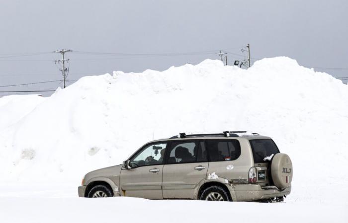 Winterwetterwarnungen für 12 Staaten, da 17 Zoll Schnee fallen werden