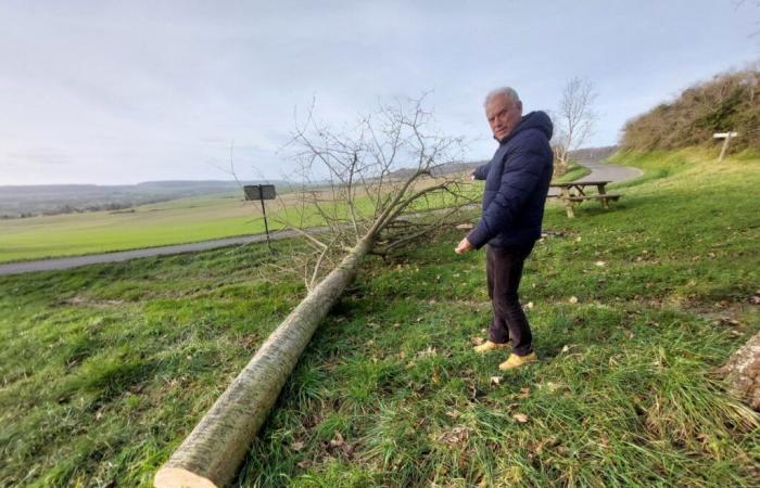 Der Bürgermeister dieser Stadt Seine-Maritime möchte verstehen