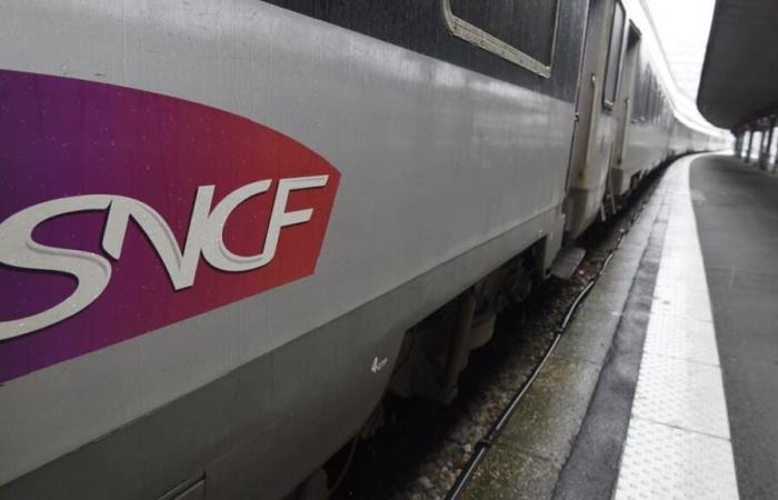 Der zurücktretende Verkehrsminister beruhigt sich über den SNCF-Streik