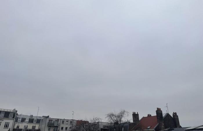 Wetterbericht. Wie ist das Wetter in Hauts-de-France an diesem Donnerstag, den 12. Dezember?