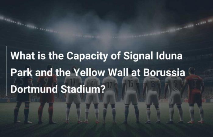 Welche Kapazität haben der Signal Iduna Park und die Gelbe Wand im Stadion von Borussia Dortmund?