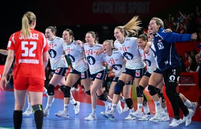 Norwegen schlägt Ungarn und erwartet Frankreich im Handball-Europafinale