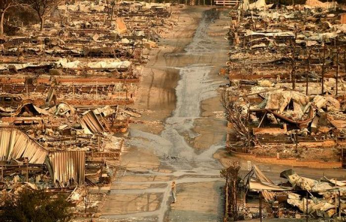 Cross mit Blick auf Malibu gibt Pepperdine Hoffnung, nachdem er den Brand in Franklin überlebt hat