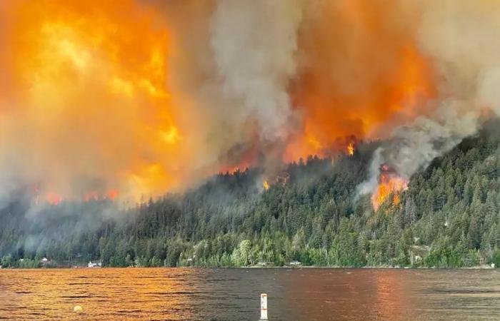 Waldbrände in Kanada könnten zu einem Anstieg der Arztbesuche in den Vereinigten Staaten geführt haben