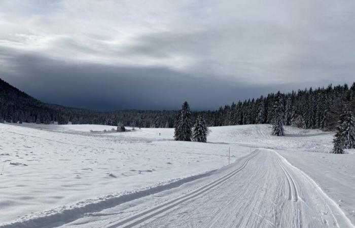 Villard de Lans: Eislaufen in Villard