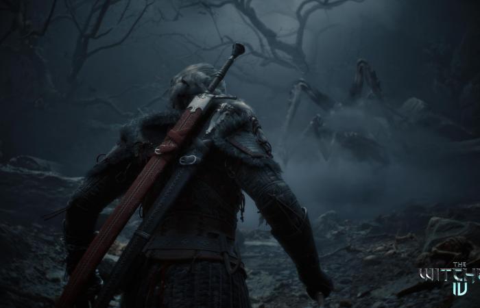 The Witcher 4: Alles, was wir bisher wissen