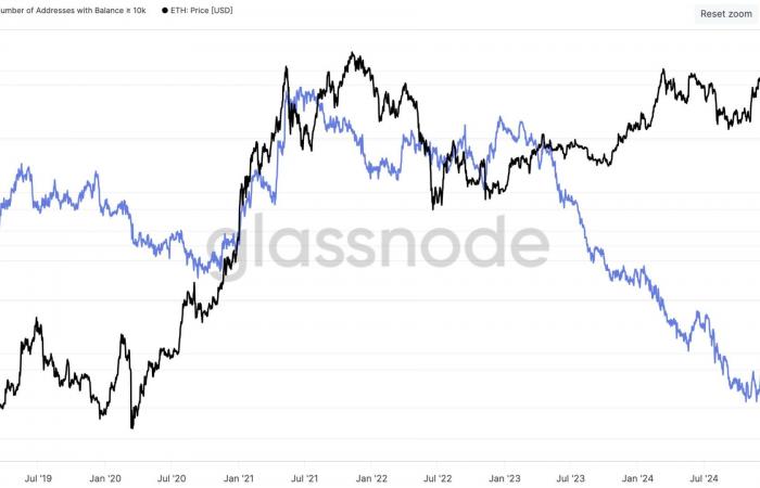 Ethereum am 13. Dezember – Erwachen der ETH-Wale, hin zu einer Preisexplosion?