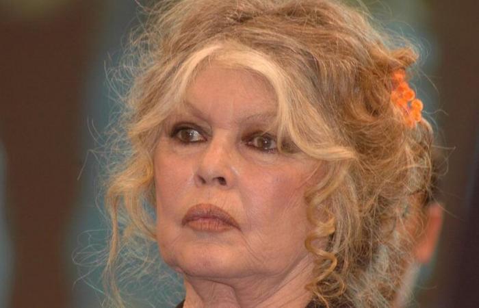 Brigitte Bardot nach Panne ohne Fernsehen und Internet, sie ärgert sich: „Ich finde das skandalös“