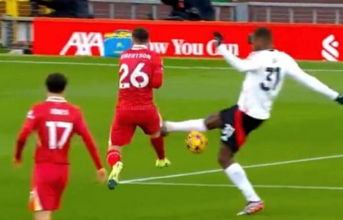 Premier-League-Erklärung: Fulham-Star vermeidet Minuten vor dem Spiel gegen Liverpool die Rote Karte | Fußball | Sport