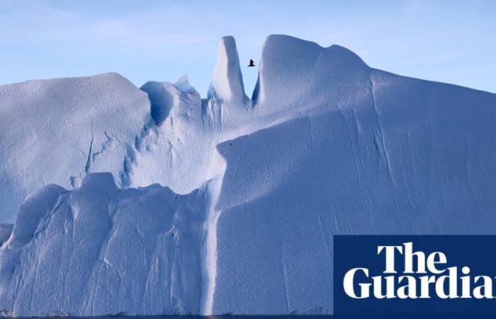 Laut US-Behörde stößt die arktische Tundra jetzt mehr Kohlenstoff aus, als sie aufnimmt | Arktis