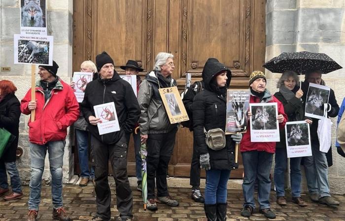 Demonstranten versammelten sich, um „das Massaker an den Lebenden zu stoppen“