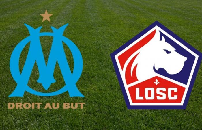 Lille: Zu welcher Uhrzeit und auf welchem ​​Kanal kann man das Ligue-1-Spiel live verfolgen?