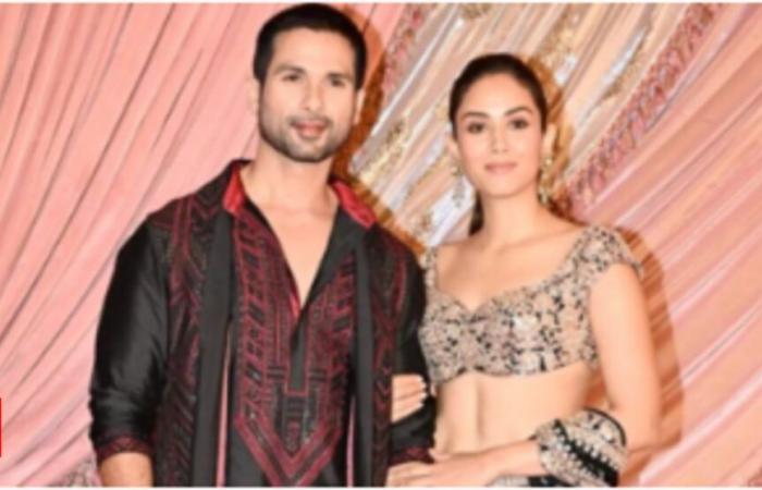 Mira Rajput ist ein großer FAN dieses Künstlers, und nein, es ist nicht ihr Ehemann Shahid Kapoor! | Hindi-Filmnachrichten