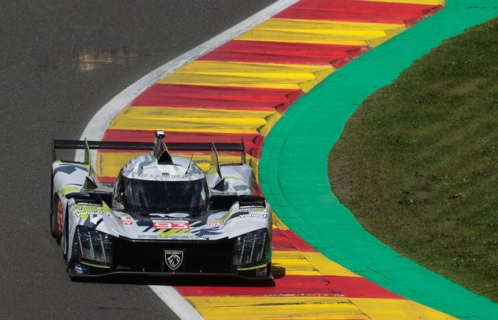 WEC – Die „Statistiken“ der Saison 2024