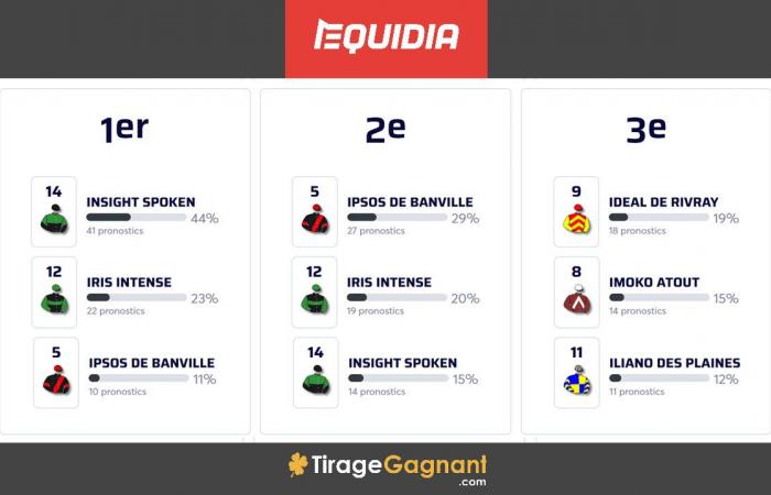 Quinté+-Vorhersage für Samstag, 14. Dezember in Chantilly: Prix de Caumont (Ziel)