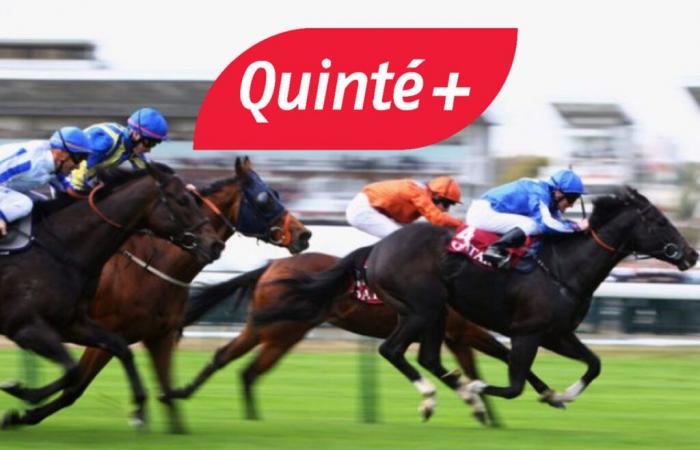 Quinté+-Vorhersage für Samstag, 14. Dezember in Chantilly: Prix de Caumont (Ziel)