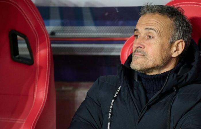 Ligue 1: Mit PSG erlebt Luis Enrique die „beste“ Saison seiner Karriere