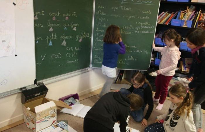 Besançon: Die in finanzielle Schwierigkeiten geratene Montessori-Schule startet einen Spendenaufruf