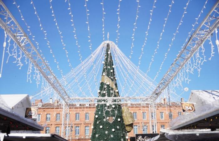 Landwirtschaftsmesse, Halle des Machines, Weihnachtsmärkte…Was kann man dieses Wochenende in Toulouse unternehmen?