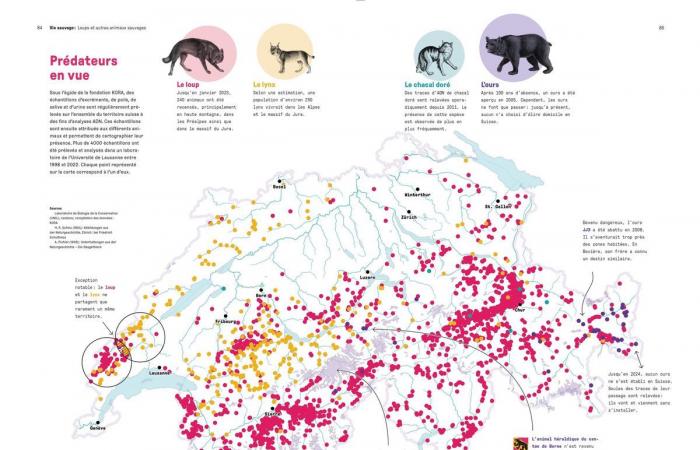 Buch: Einhundert Infografiken erzählen die Geschichte der Schweizer Berge