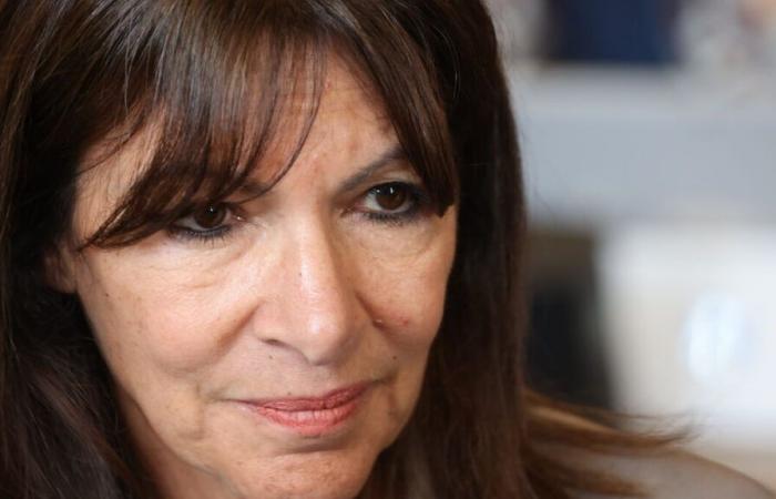 „Wissen, wohin öffentliche Gelder fließen“: Ein Verein reicht beim Staatsrat eine Petition wegen der Spesenabrechnungen von Anne Hidalgo in Paris ein