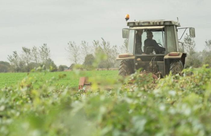 Ein marokkanisches Familiennetzwerk wurde in Lot-et-Garonne aufgelöst