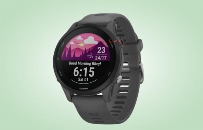 Wie schafft es Cdiscount, diese Garmin-Uhr zu einem so günstigen Preis anzubieten?