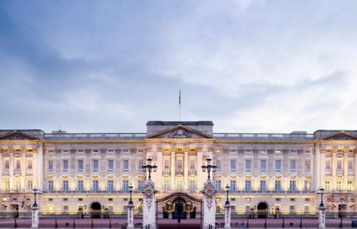 Mehrere Mitarbeiter des Buckingham Palace waren an der Störung eines seltsamen Weihnachtsabends in London beteiligt