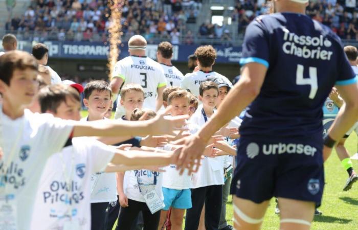 MHR – Ospreys: Rund um das Spiel – Montpellier Hérault Rugby