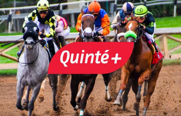 Quinté+-Vorhersage für Sonntag, 15. Dezember in Vincennes: Jean-Dumouch-Preis